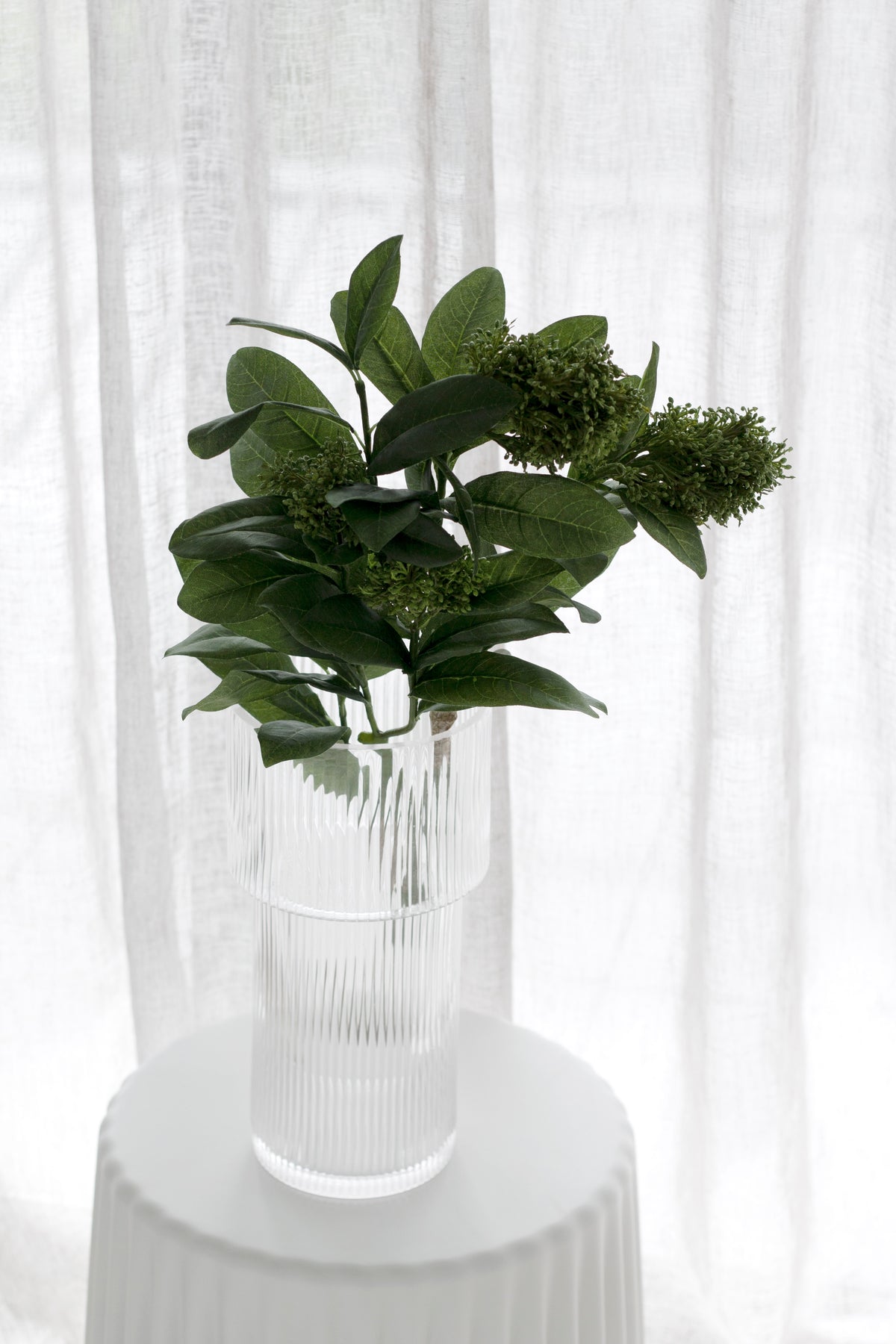 Skimmia in a ribbed glass vase on a white stand by sheer curtains