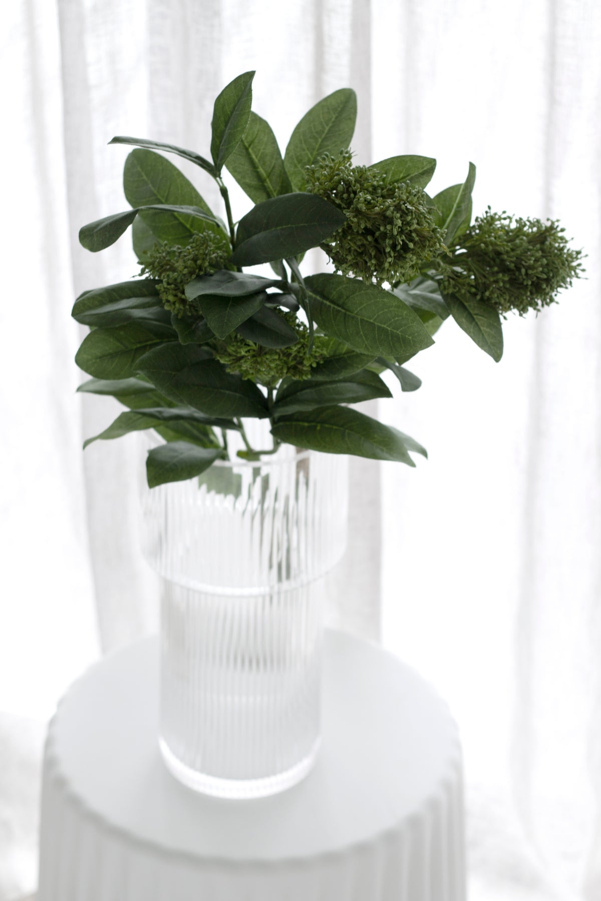 Skimmia in a glass vase on a white stand against sheer curtains