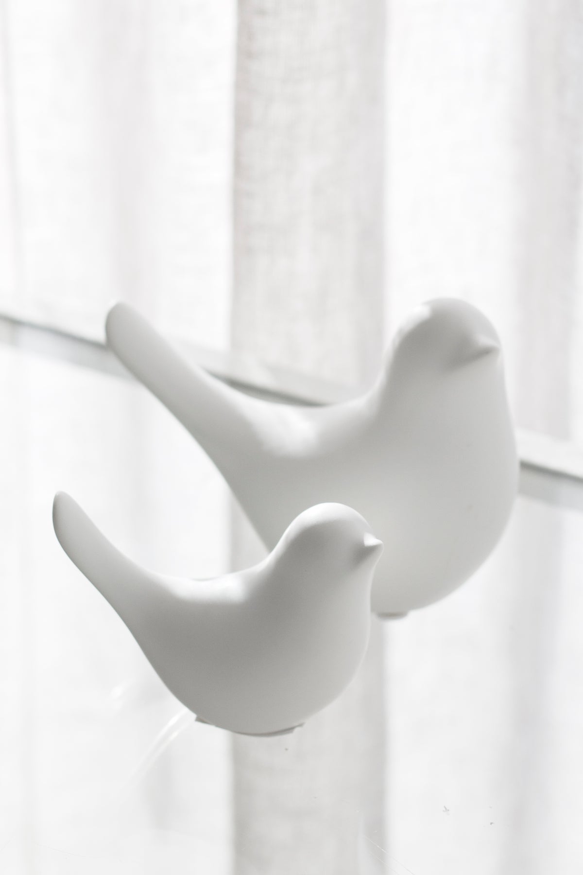 Small and large white Della doves by a sunlit sheer curtain