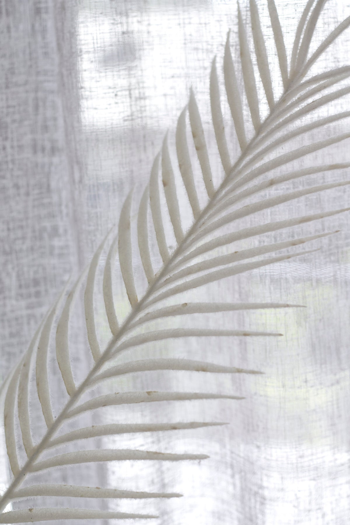 White Palm Leaf Stem, 1m Decorative Faux Frond