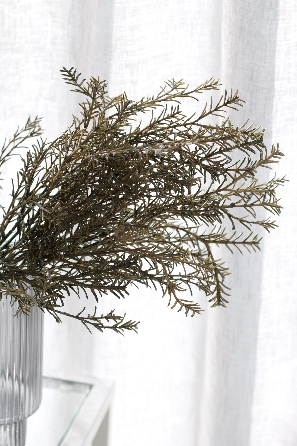 Close view of the rosemary needles arching from a ribbed vase on a glass shelf