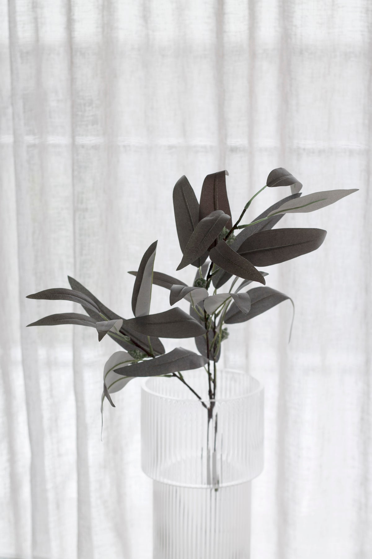 Narabor grey willow eucalyptus arranged in a ribbed glass vase by a window