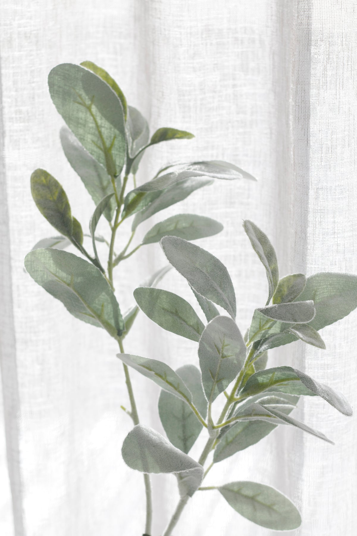 Lamb's ear faux stem on a white background