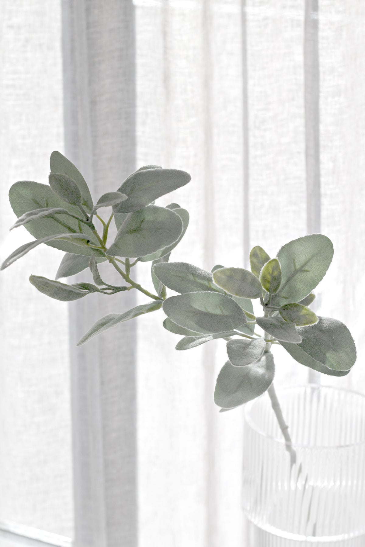 Lamb's ear faux stems layered in an arrangement