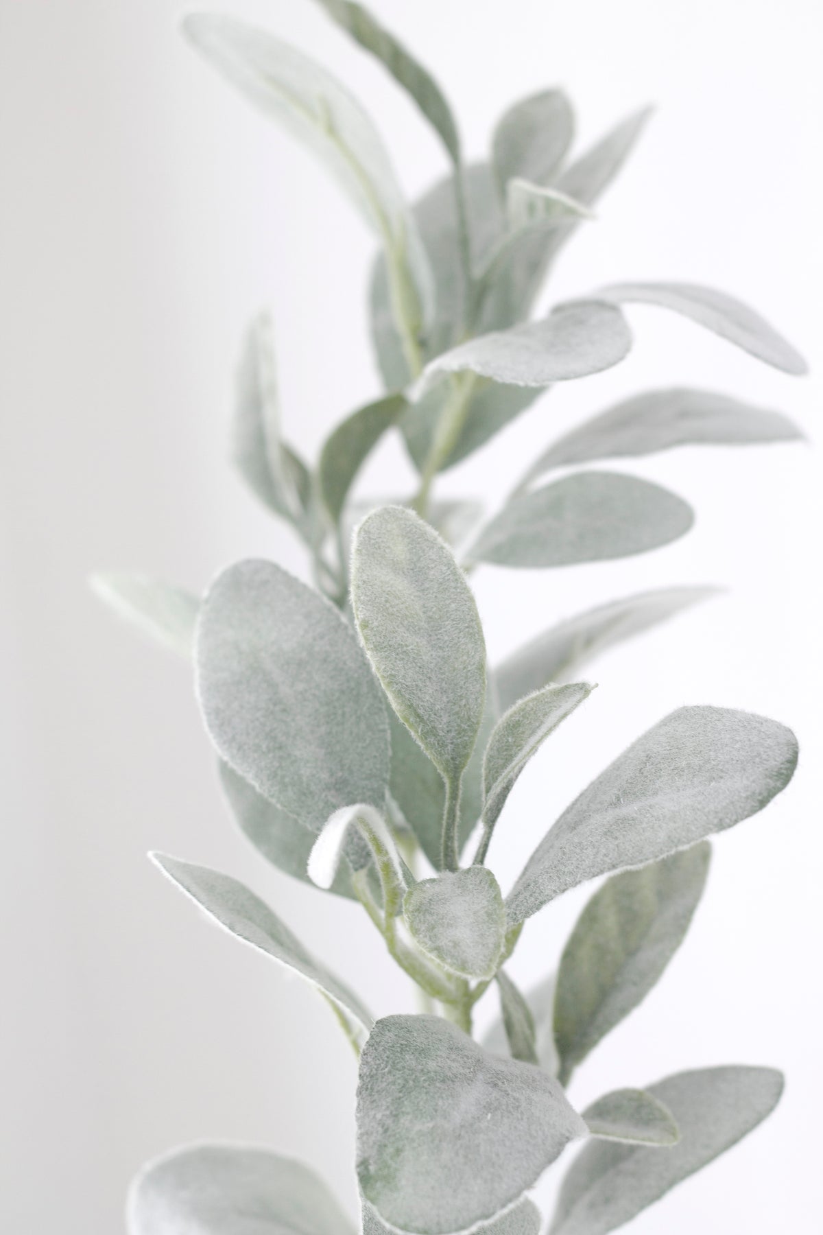 Lamb's ear faux stem with velvety sage green leaves