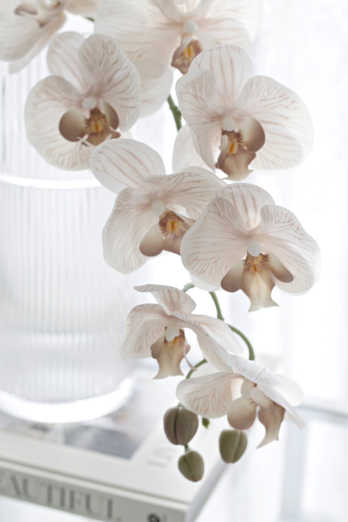 Close view of cream orchids arching from a ribbed glass vase above a book