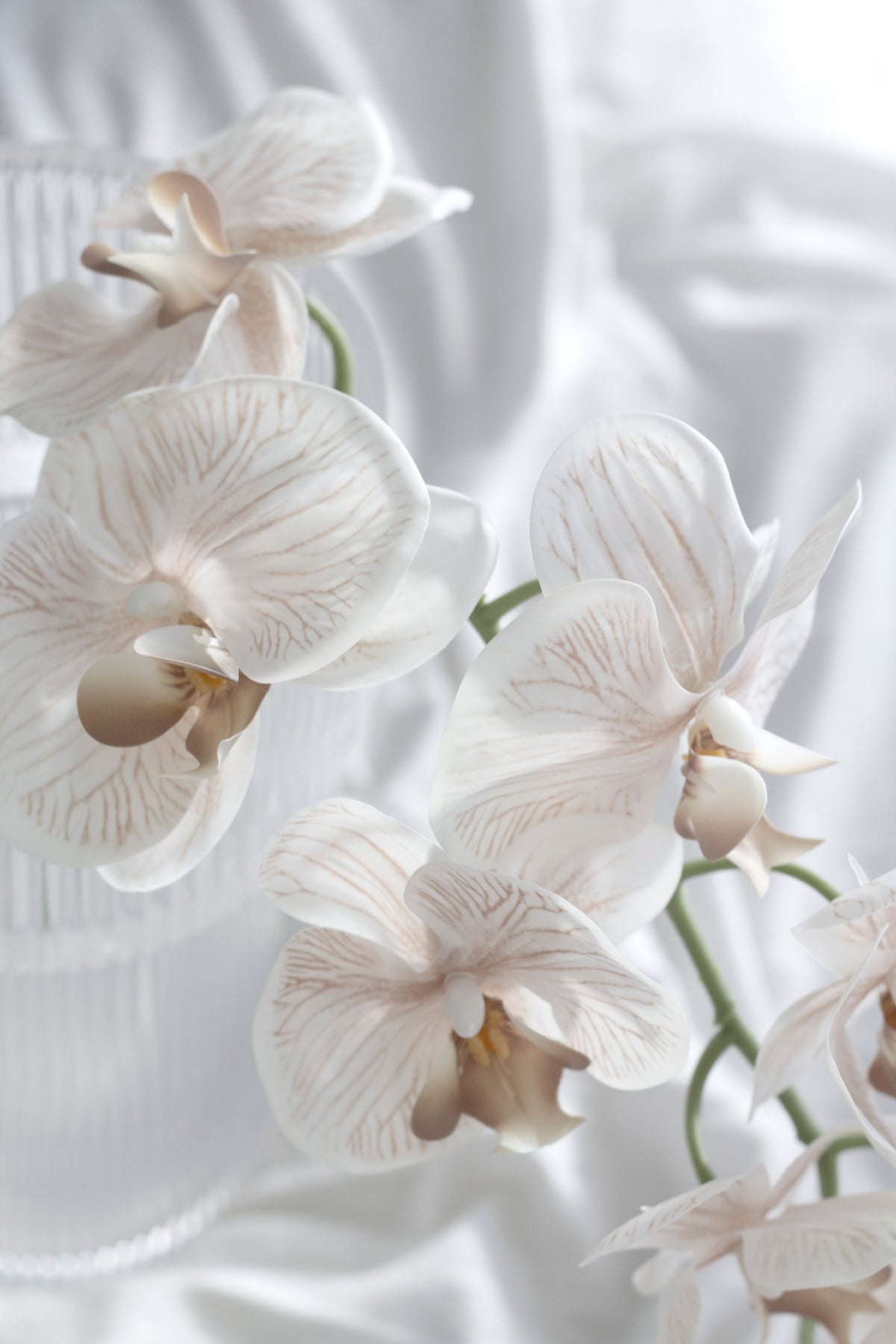 Blush orchid blooms beside a ribbed glass vase on rumpled white linen