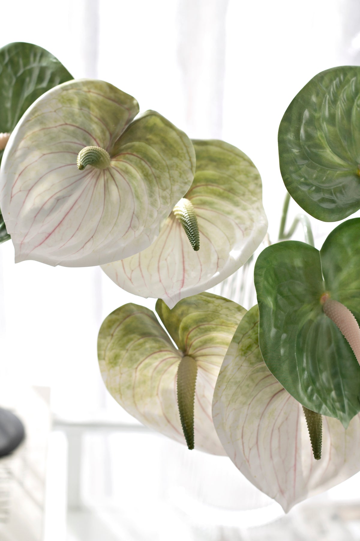 Anthurium Stem, White, Green or Variegated Faux Flower