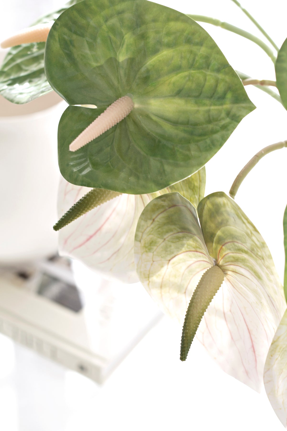 Anthurium Stem, White, Green or Variegated Faux Flower
