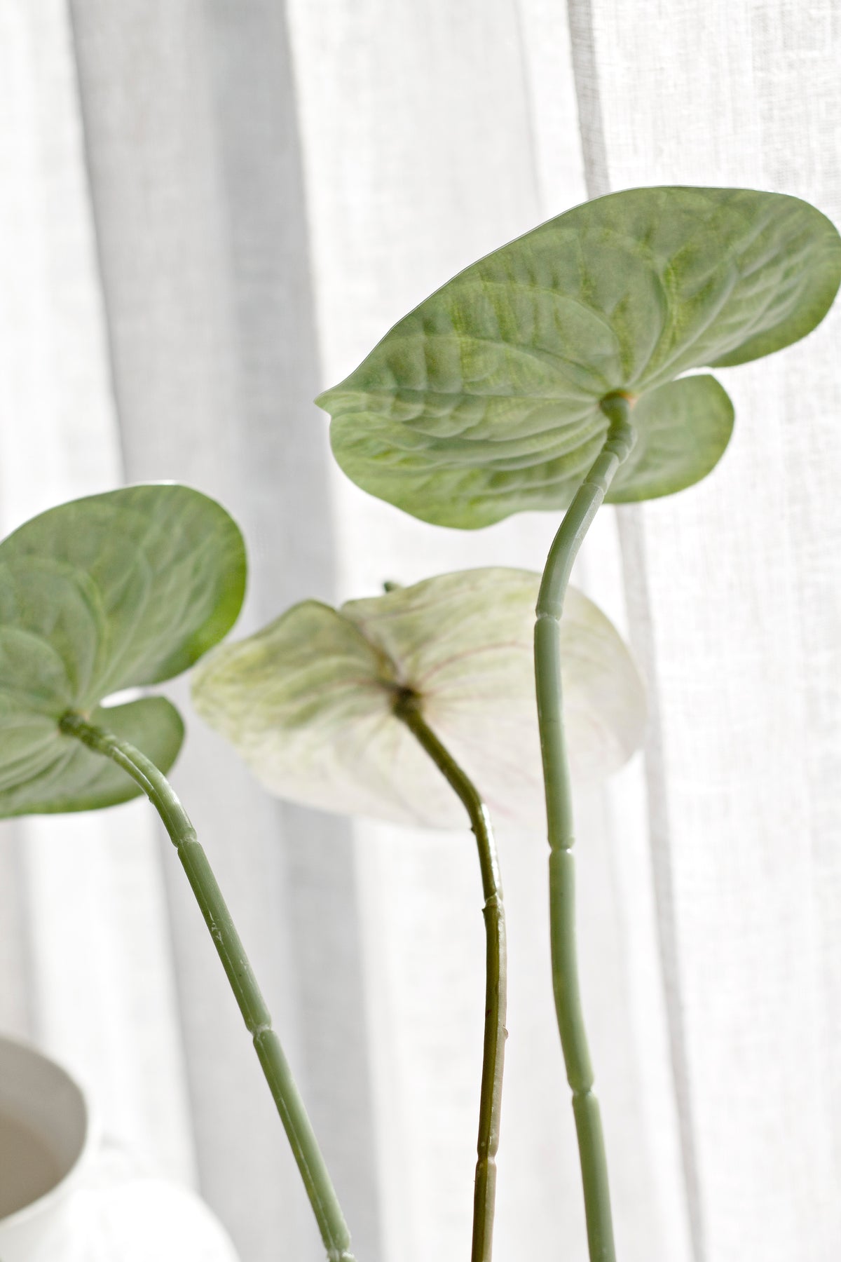 Anthurium Stem, White, Green or Variegated Faux Flower