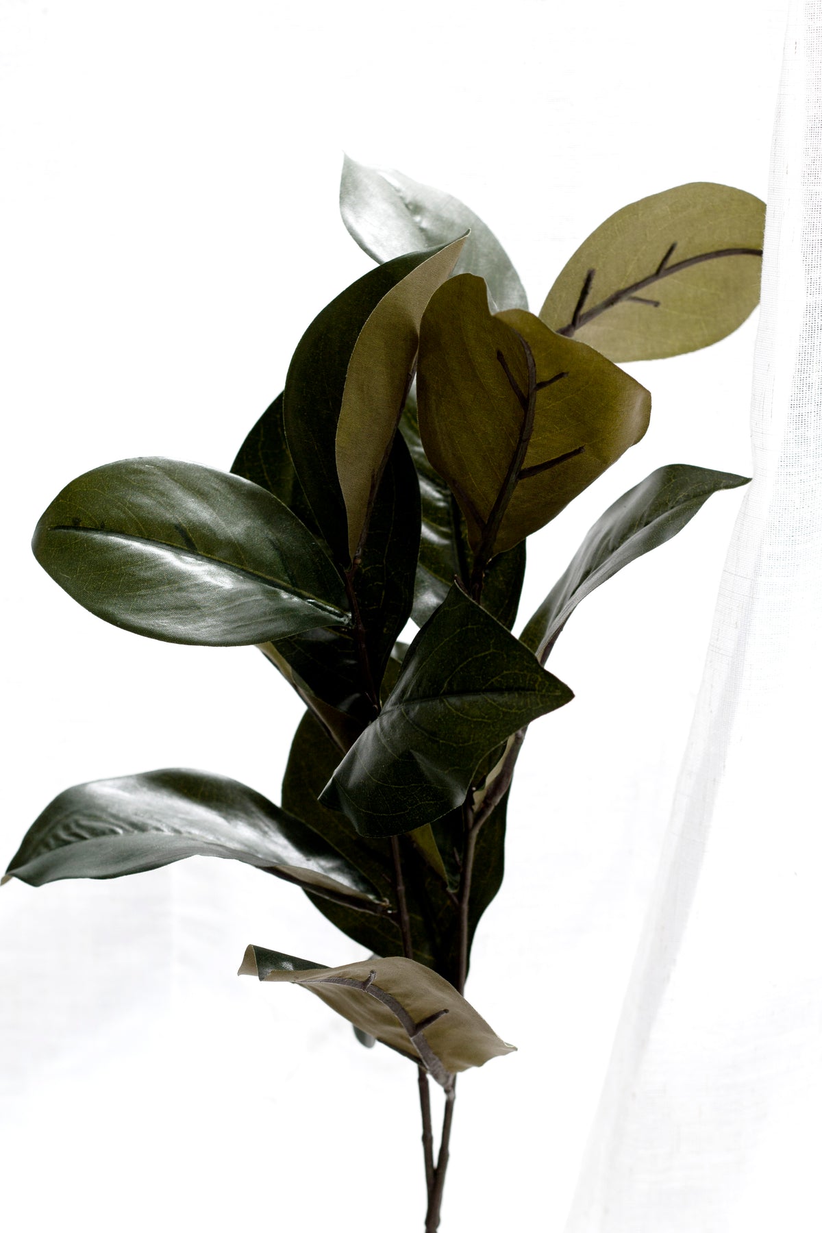 Magnolia Leaf Spray, 76cm Faux Foliage Stem