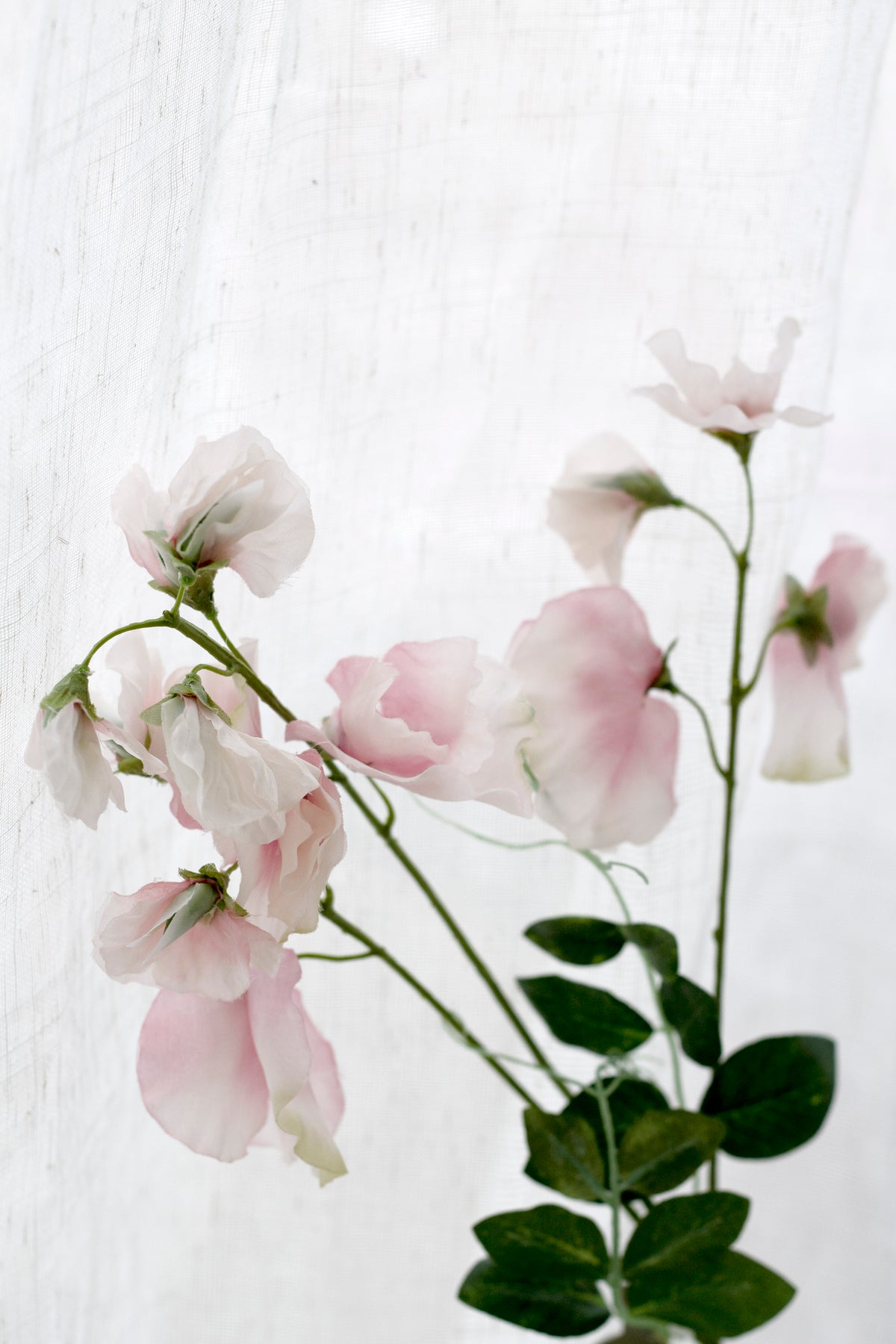 Sweet Pea Spray, Cream or Pink 68cm Faux Stem
