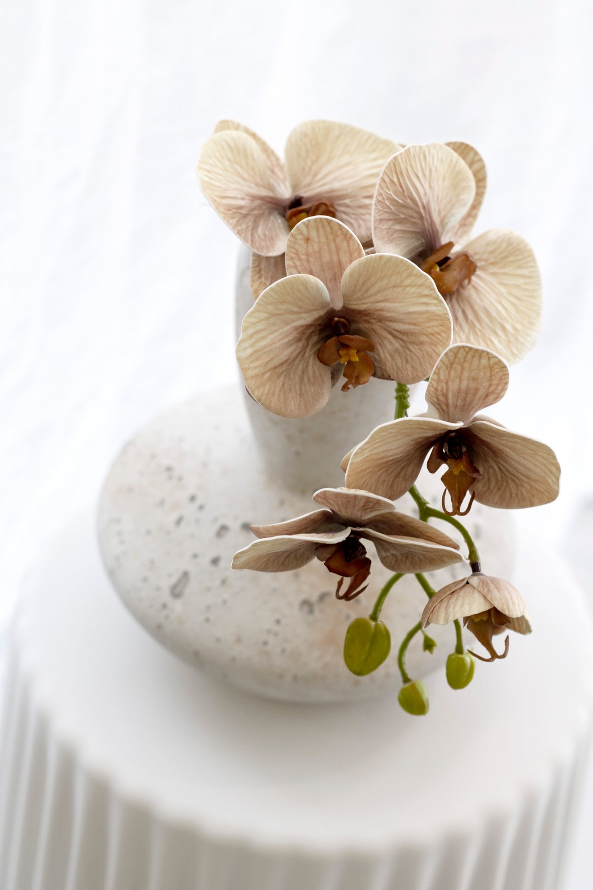 Tan orchid blooms spilling from a speckled white gourd vase, seen closer on its plinth