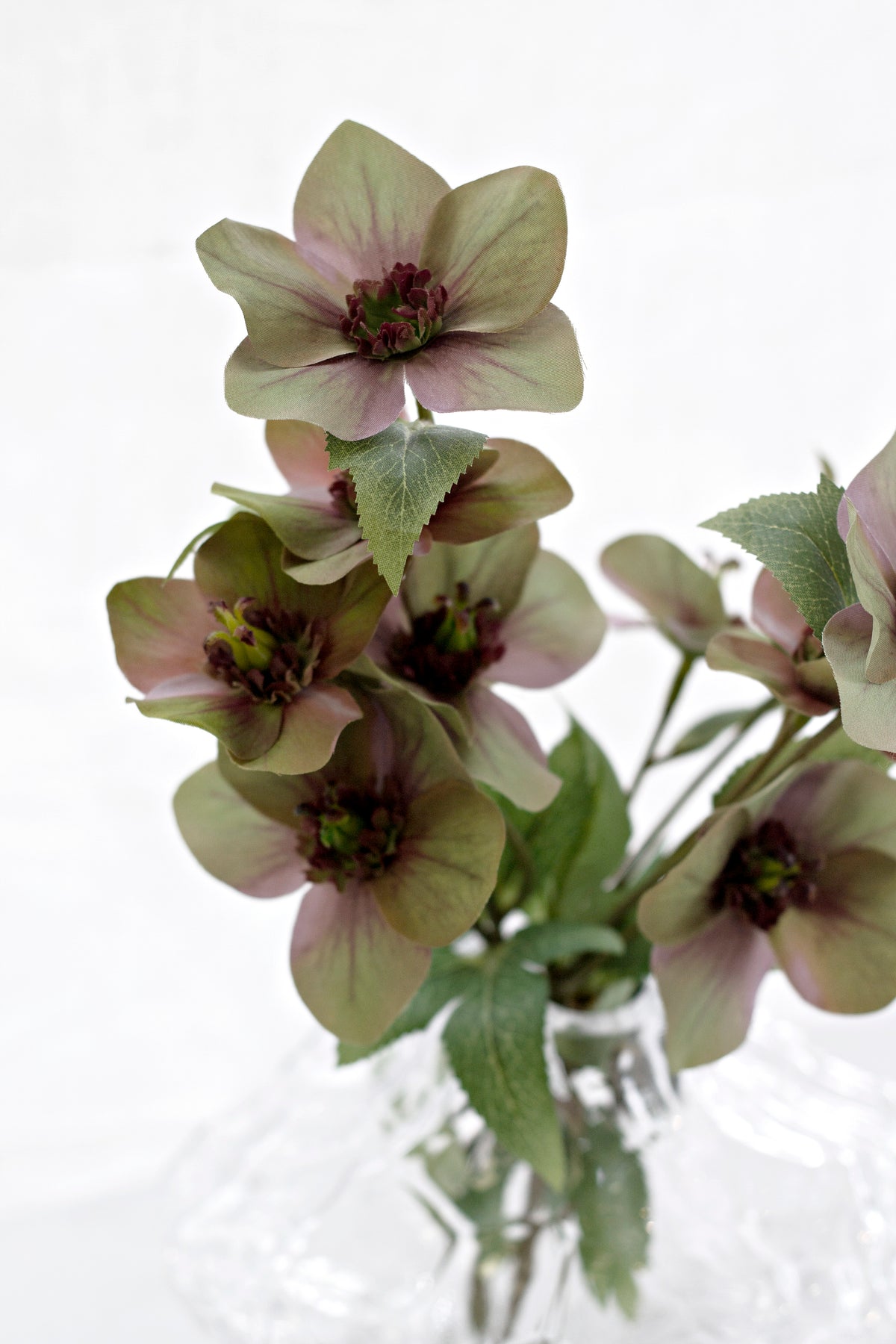 Mauve hellebores in a crystal glass vase, close view
