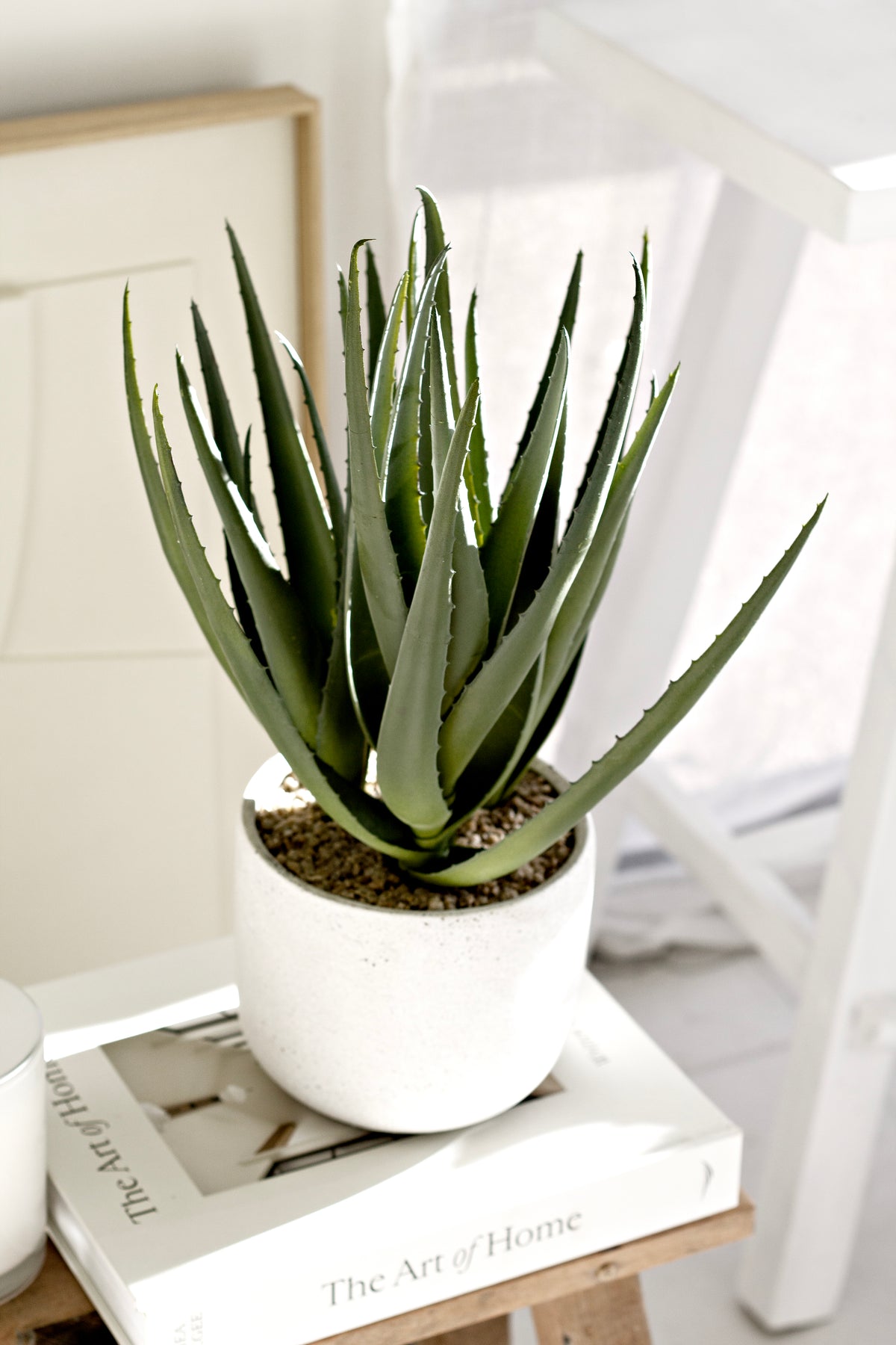 Aloe in a white cement pot on a book on a timber stool by a bed