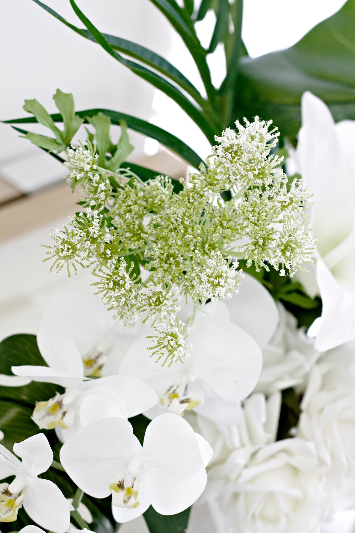 Dill ammi among white orchids and leaves