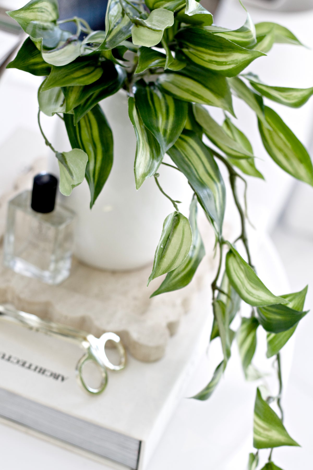 Vanilla orchid leaf bush trailing from a white vase beside a perfume bottle and books