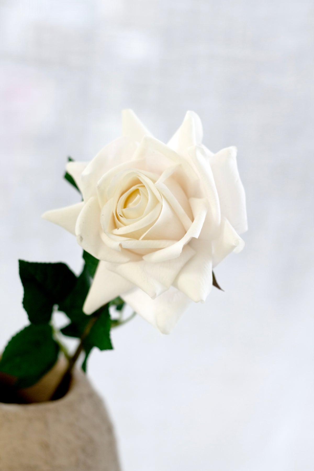 Aida Real Touch Rose, White & Peach 65cm Faux Stem