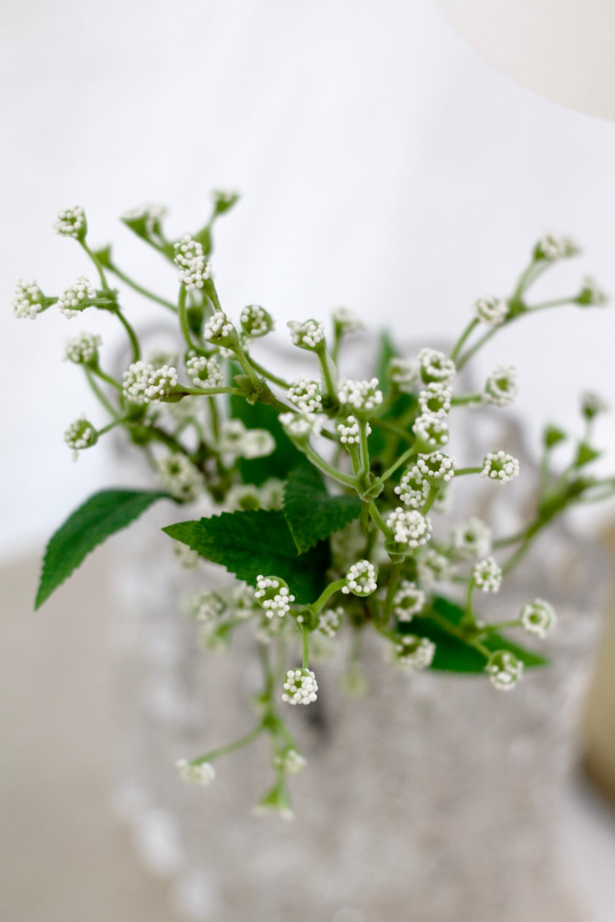 Close view of faux gypsophila sprigs and green leaves in a glass vase