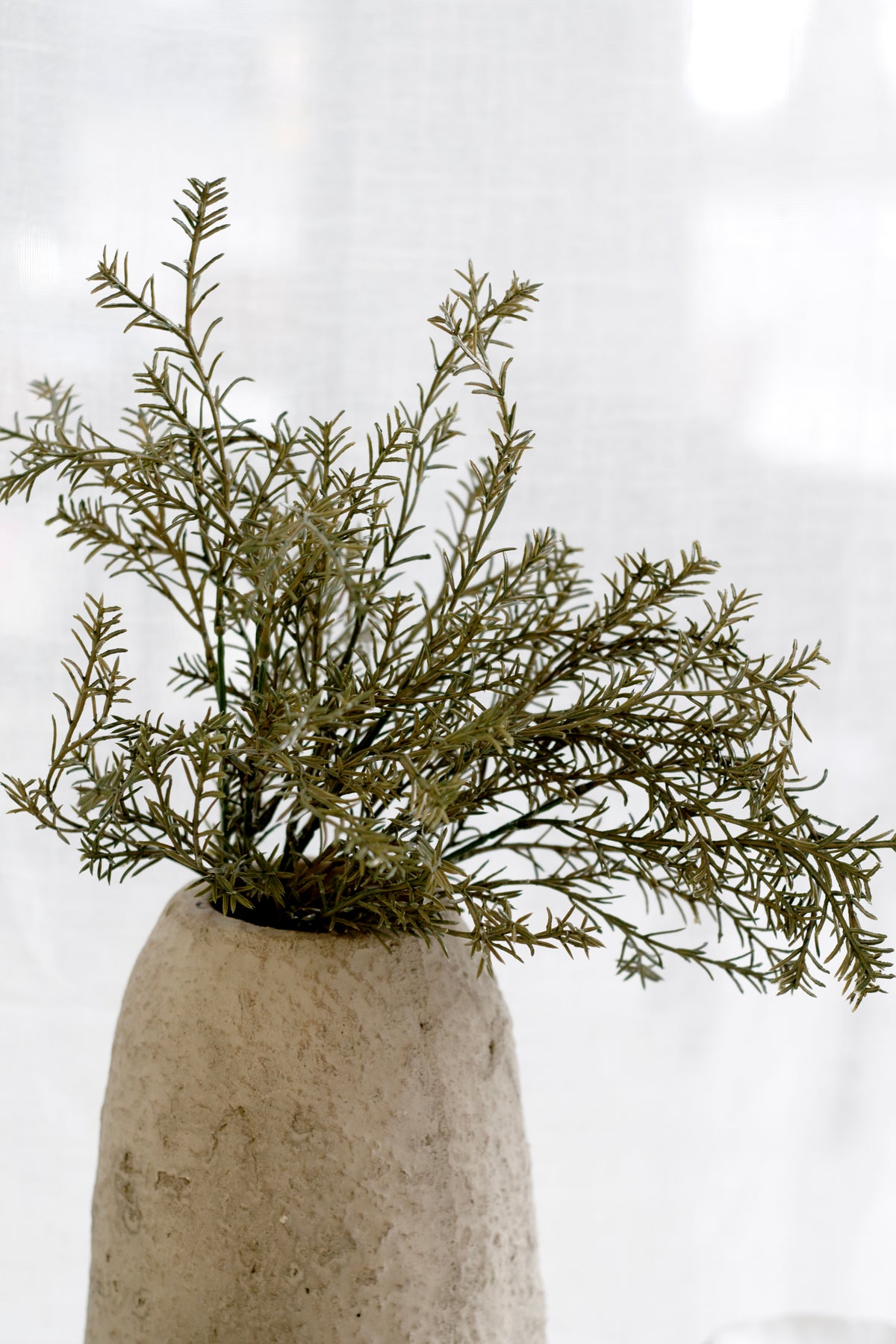Rosemary stems fanning from a tall textured stone vase against a sheer curtain
