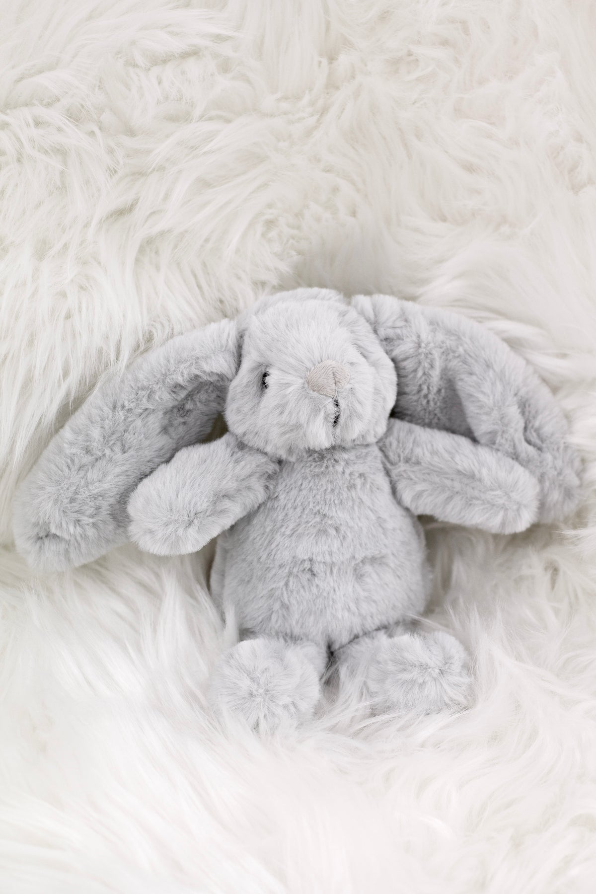 Silver Littlefoot bunny seated on soft white faux fur