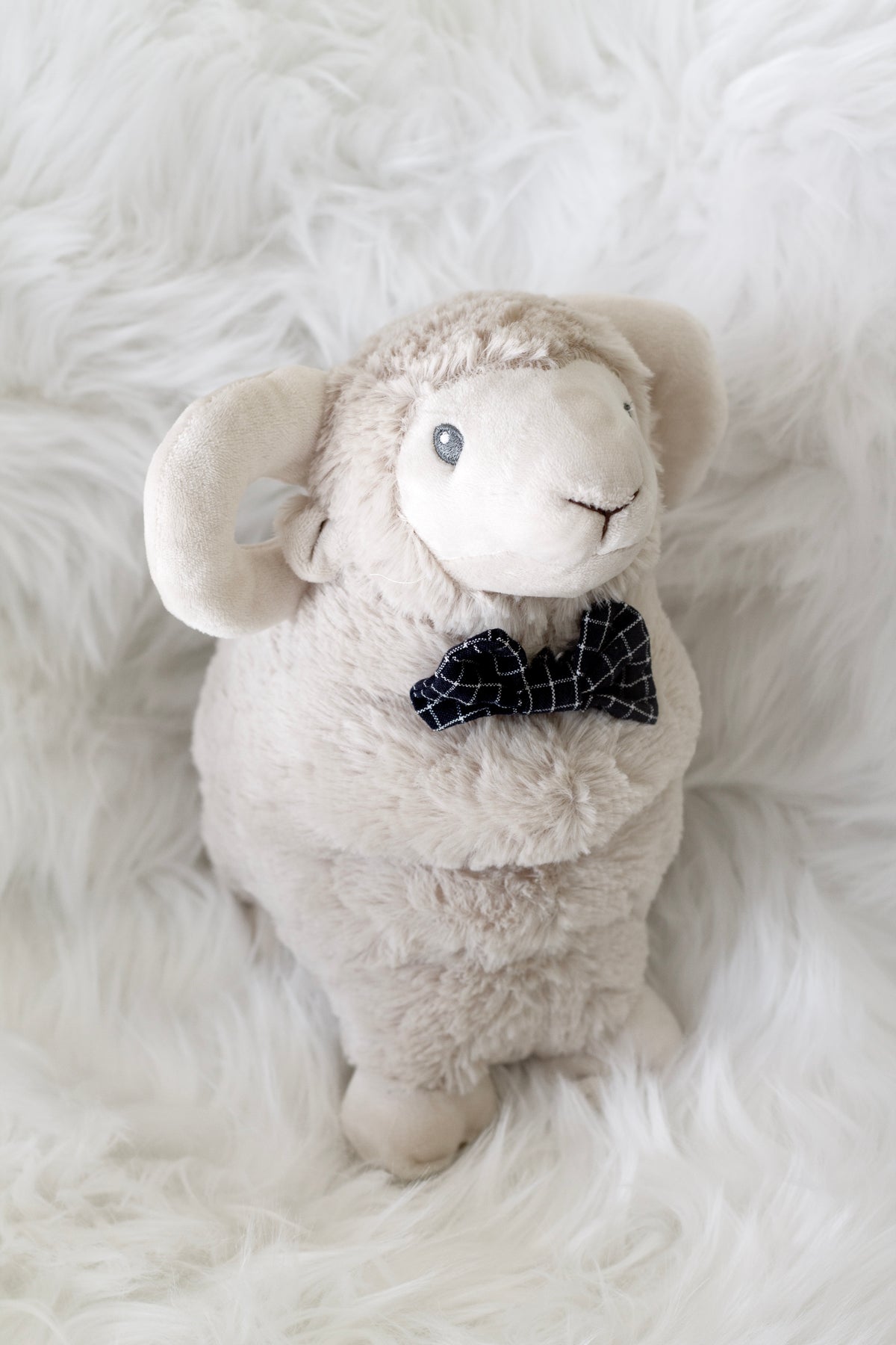 Liam the Ram sitting on a white faux fur throw