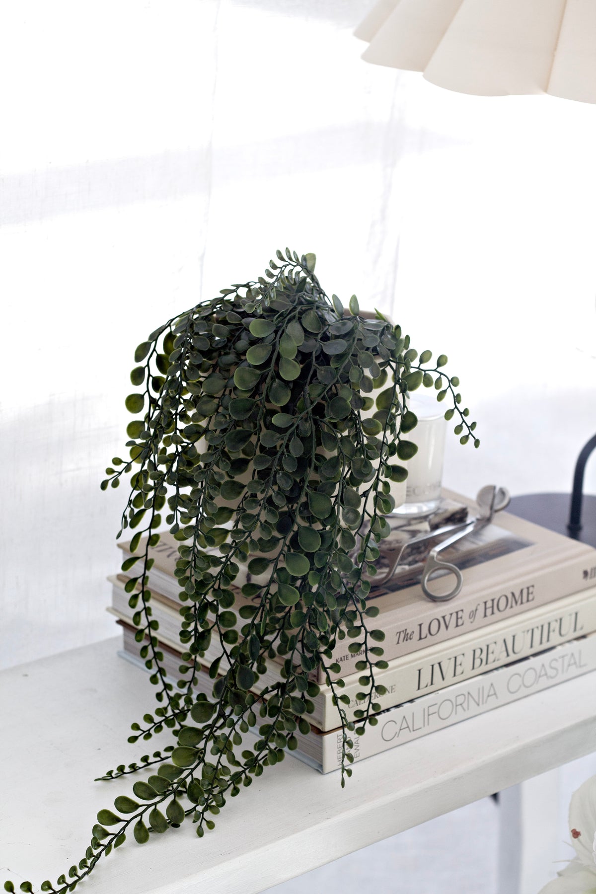 Faux pea leaf bush on stacked books with its stems trailing over the table edge