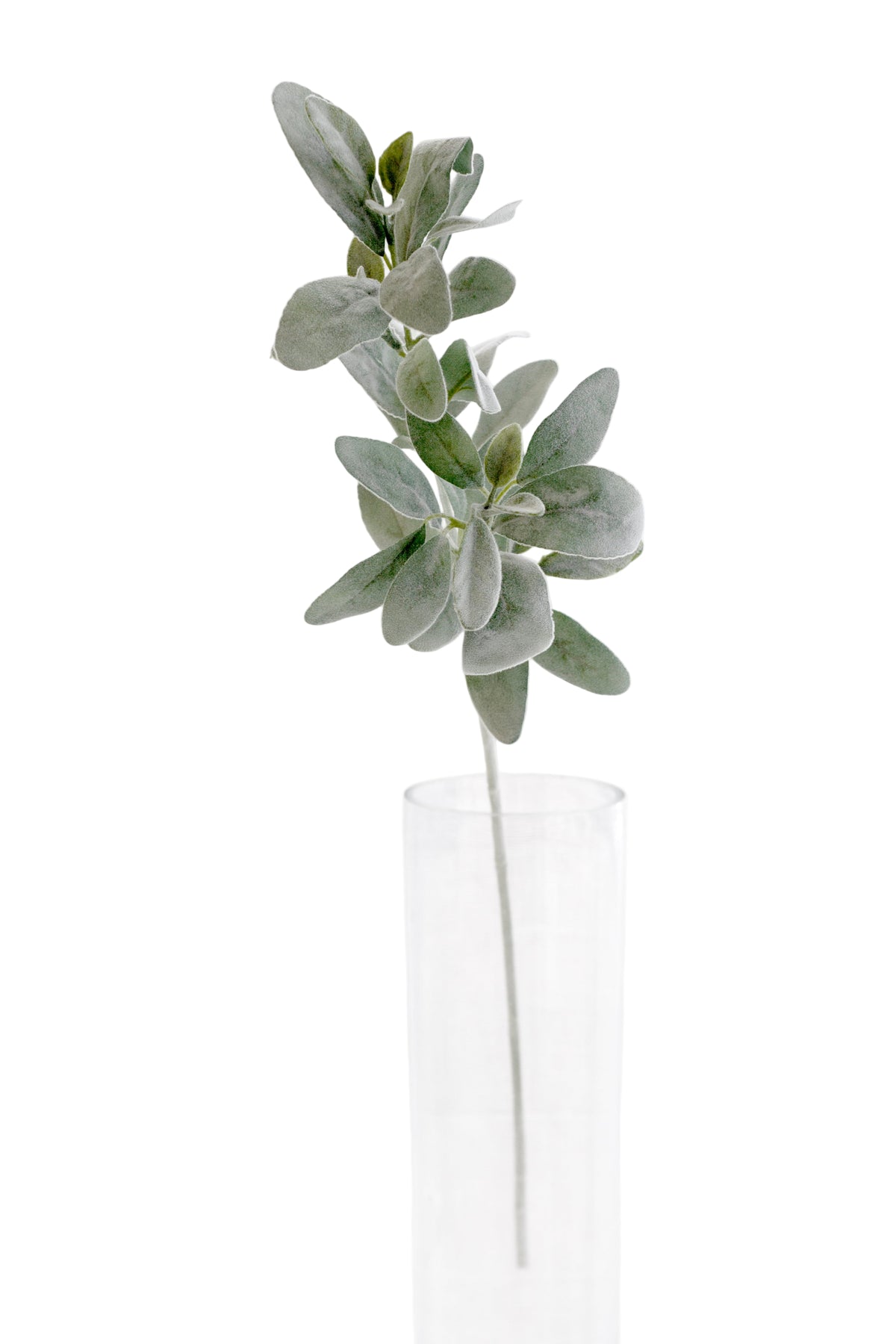 Lamb's ear faux stems in a neutral interior