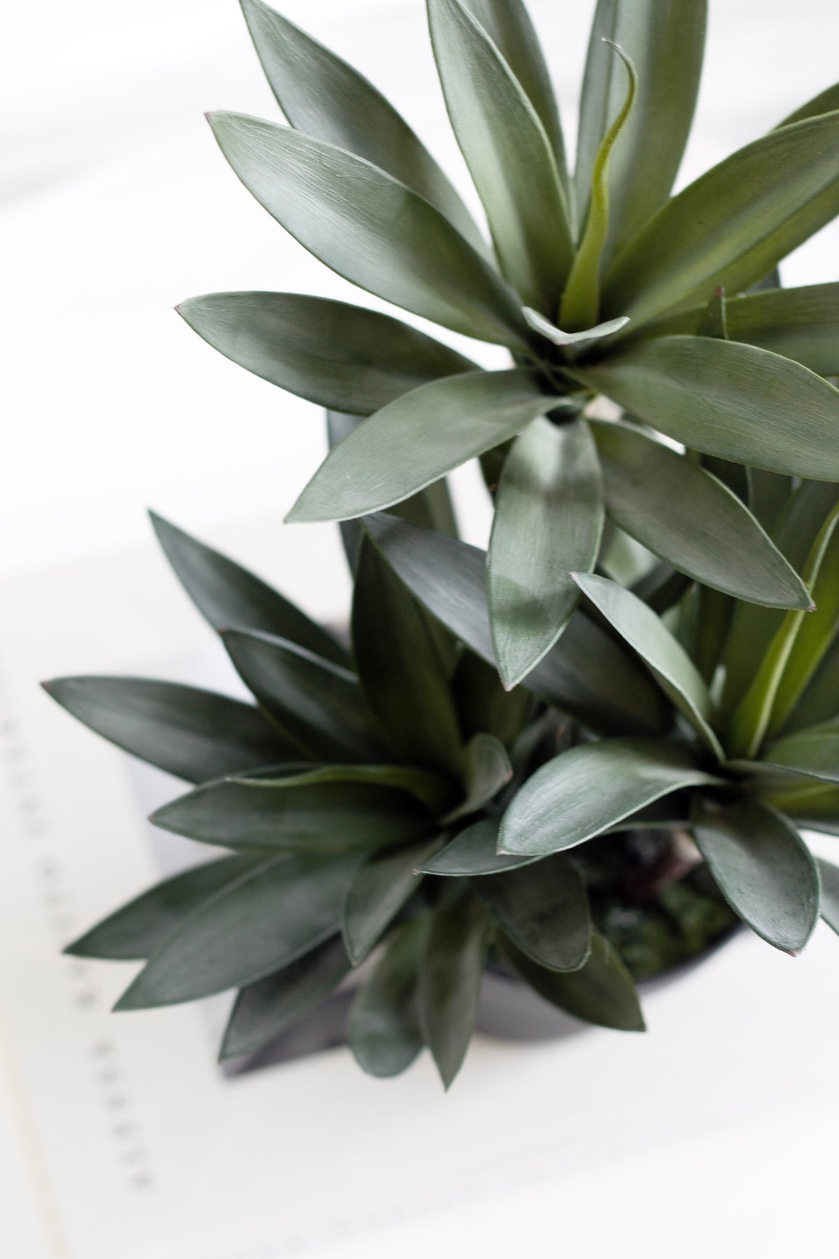 Small Dracaena, 45cm Potted Faux Plant