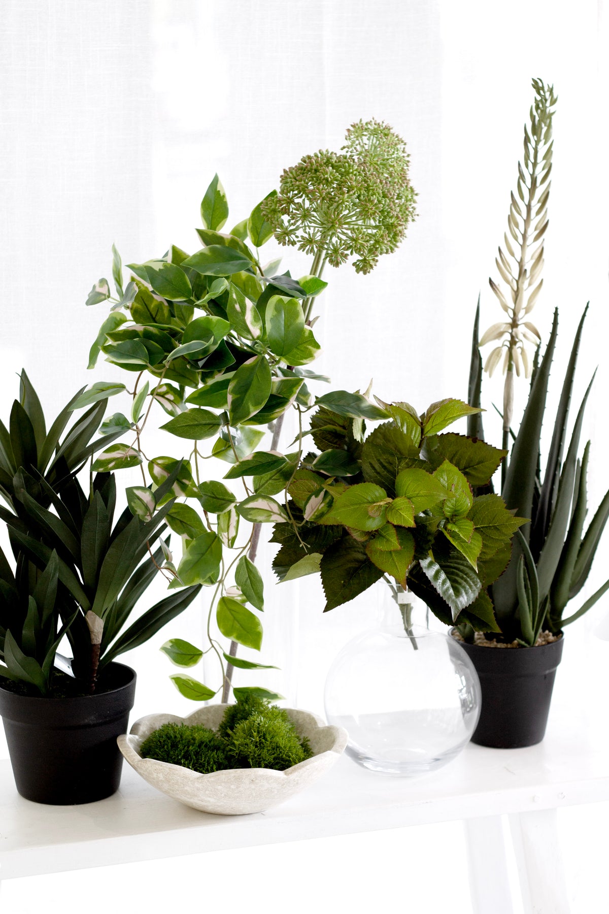 Small Dracaena, 45cm Potted Faux Plant