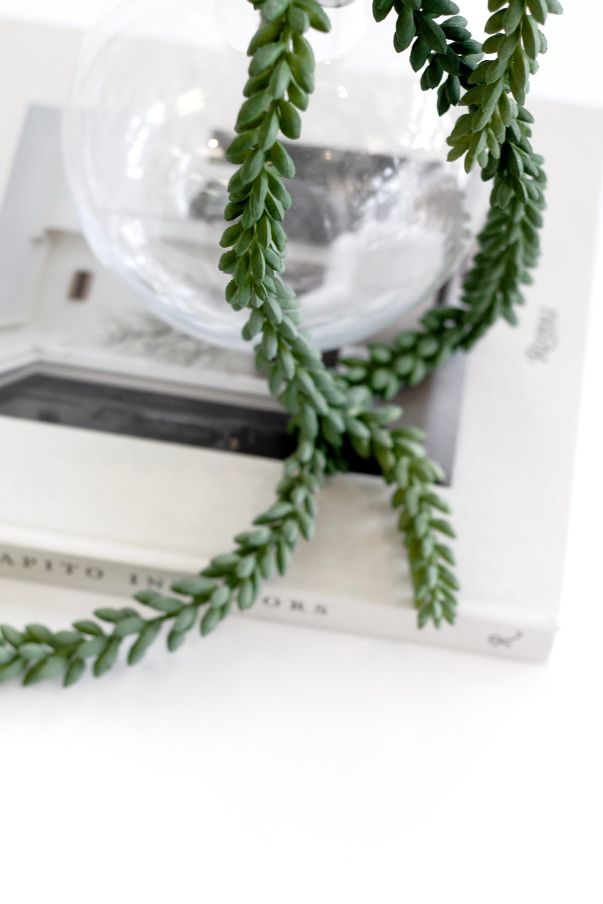 Burro's tail strands trailing over a glass bowl onto a book