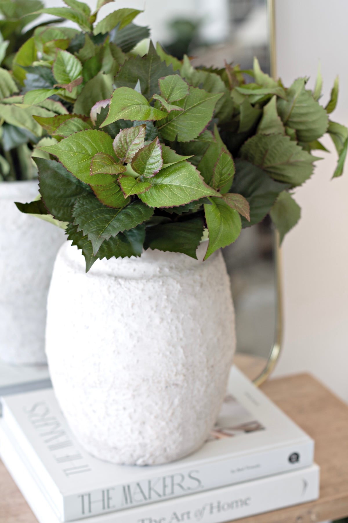 The leaf bush in a textured white vase on a stack of books on a timber shelf
