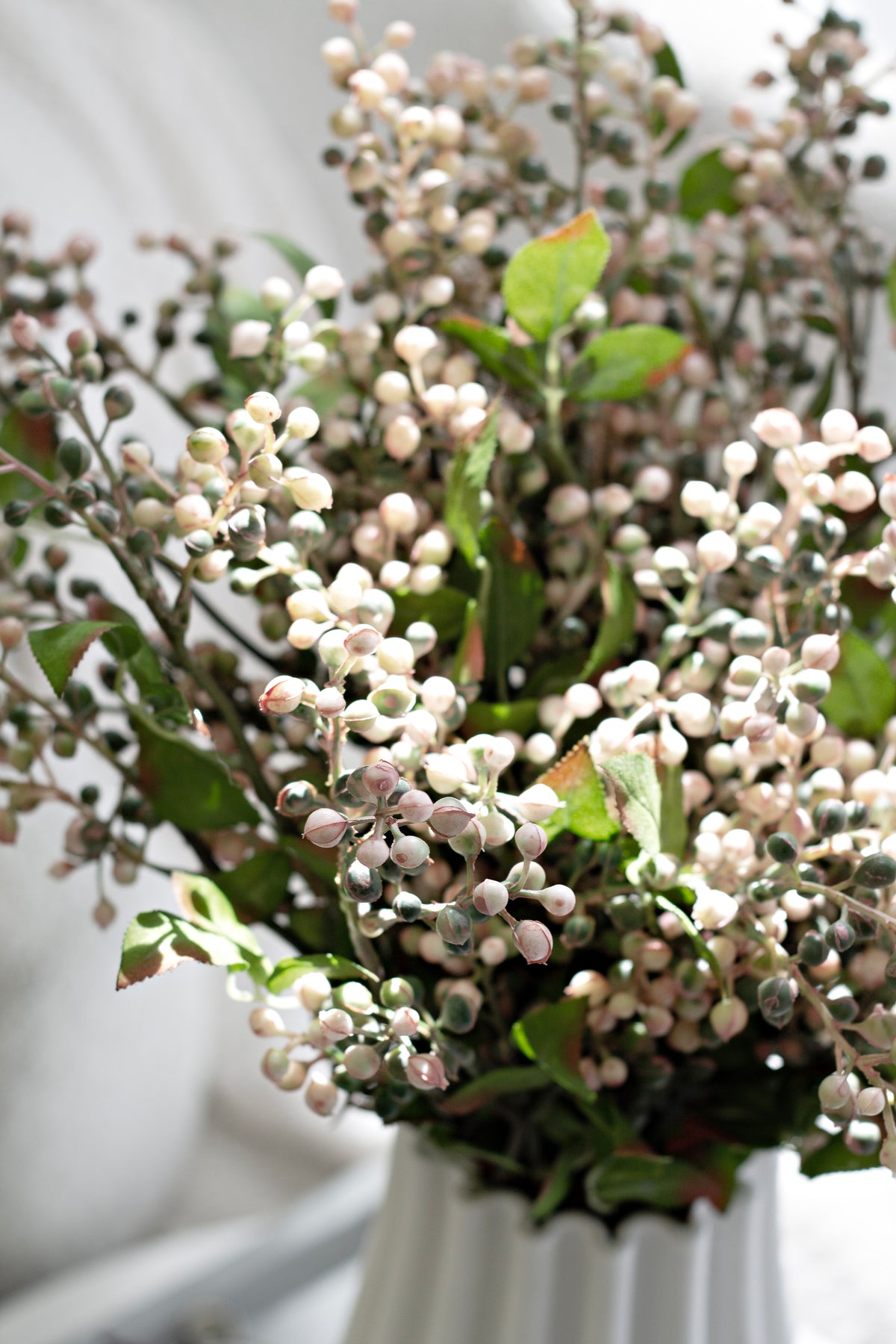 Close-up of the cottage berry clusters and green foliage against a sheer curtain