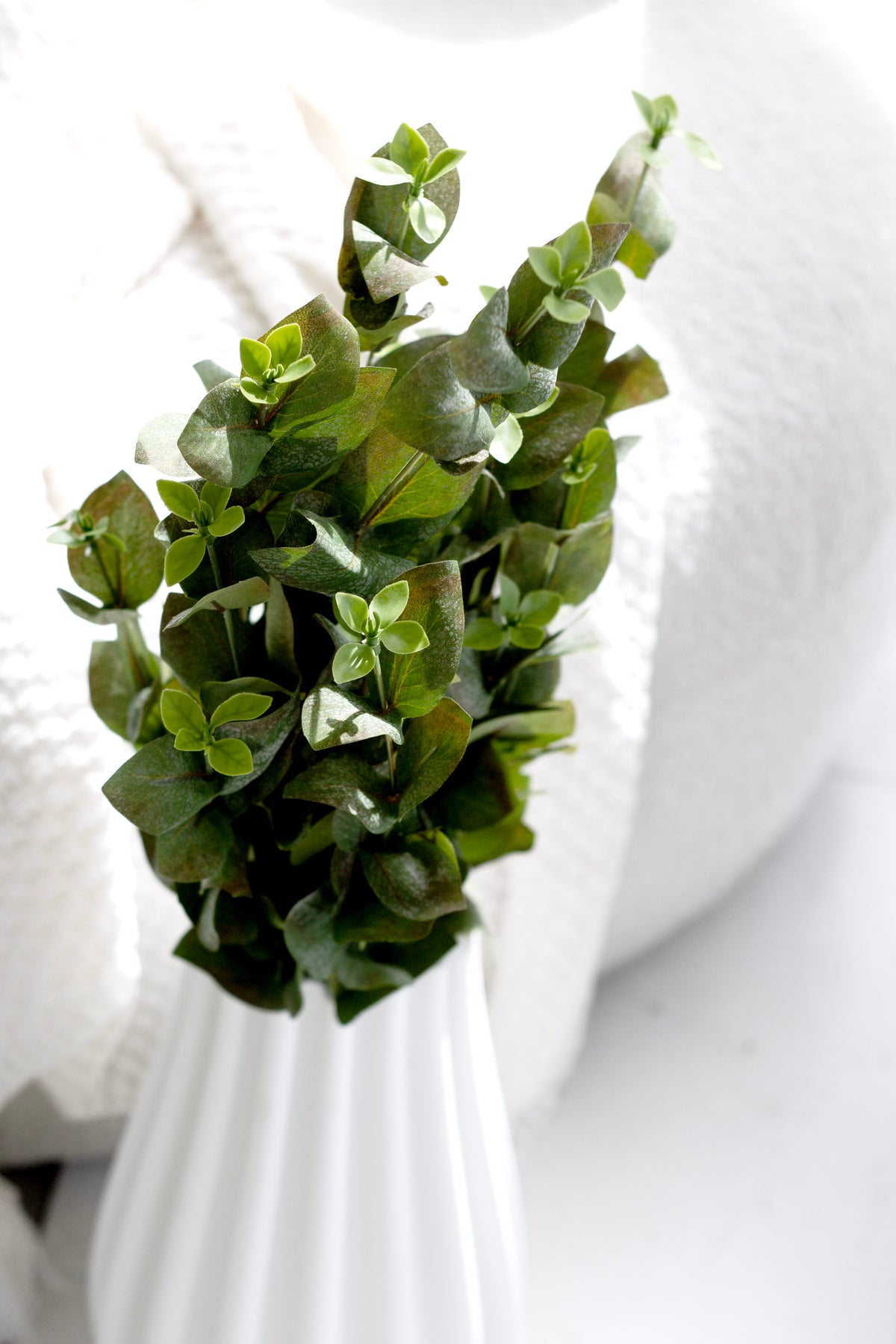 Close view of the hunter green beech leaves in a white fluted vase