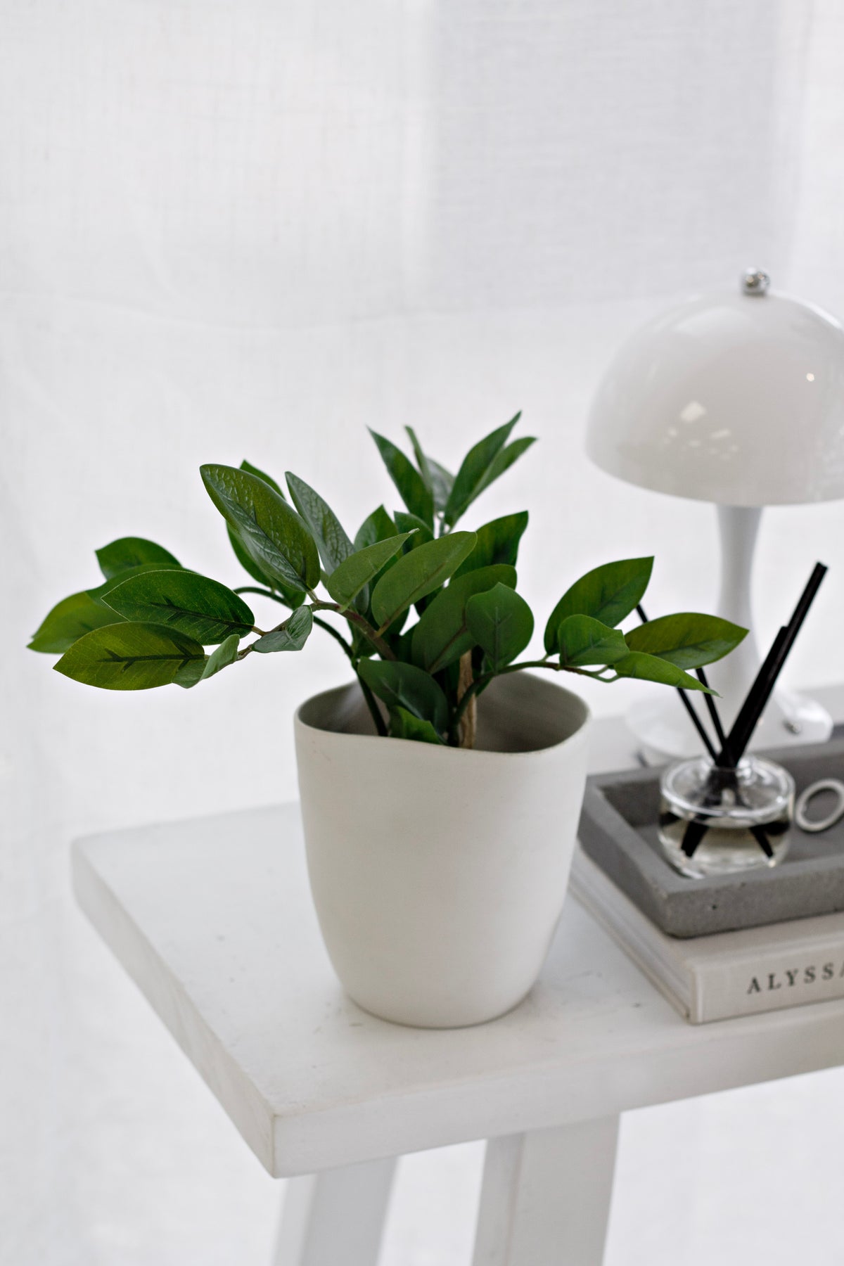 Zamifolia (ZZ Plant), 31cm Potted Faux Plant