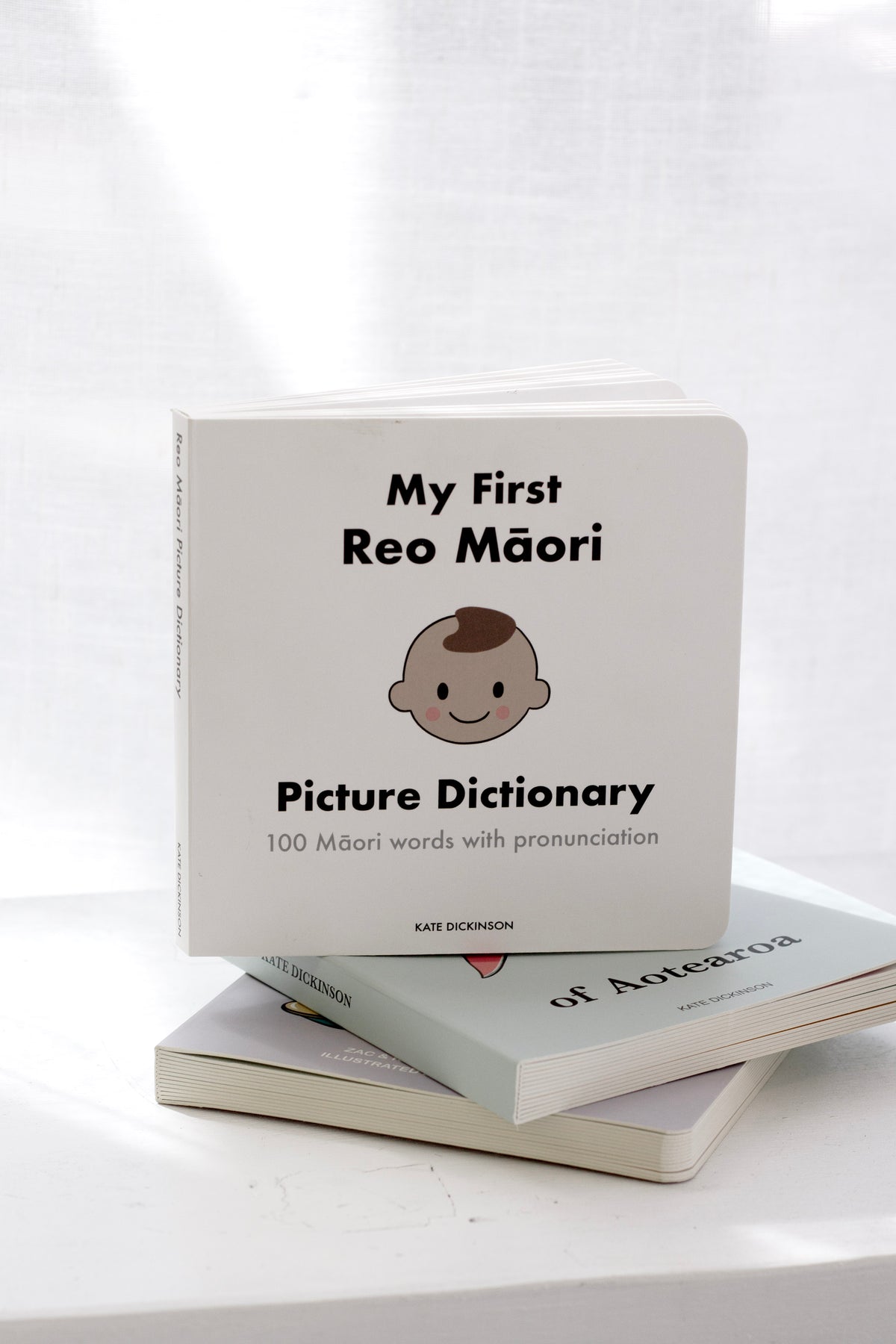 My First Reo Māori Picture Dictionary standing on a stack of board books by a window