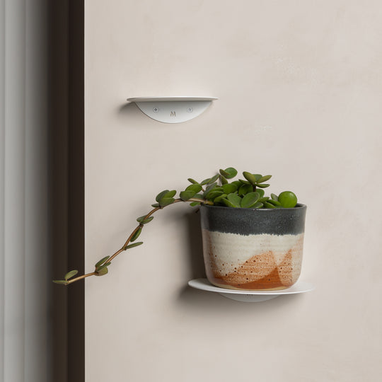Pair of white FOLD Round Shelves staggered on a wall, the lower one holding a potted plant