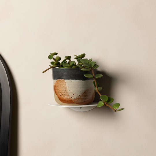 White FOLD Round Shelf holding a potted plant beside an arched mirror