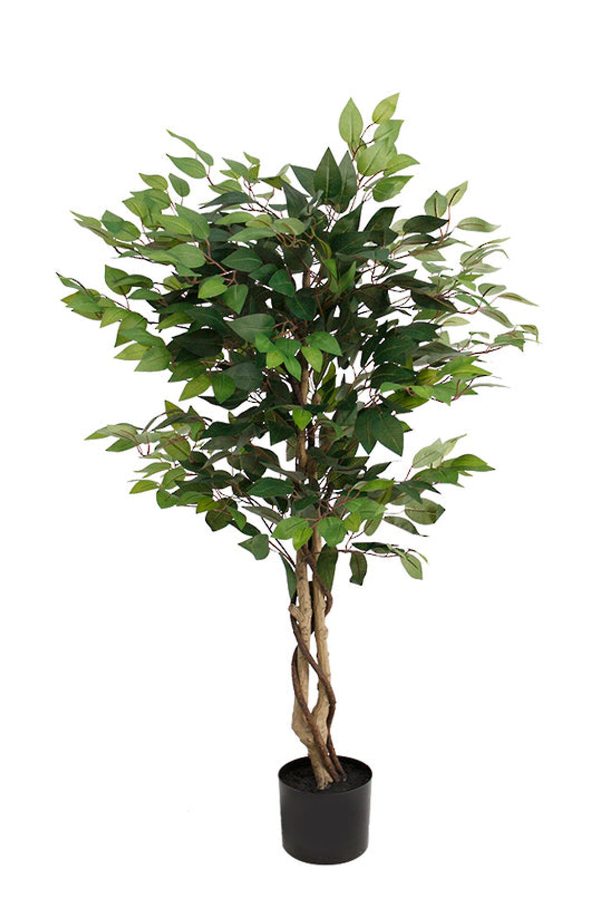 Faux ficus tree, 120cm, with a twisted trunk in a black pot, on white