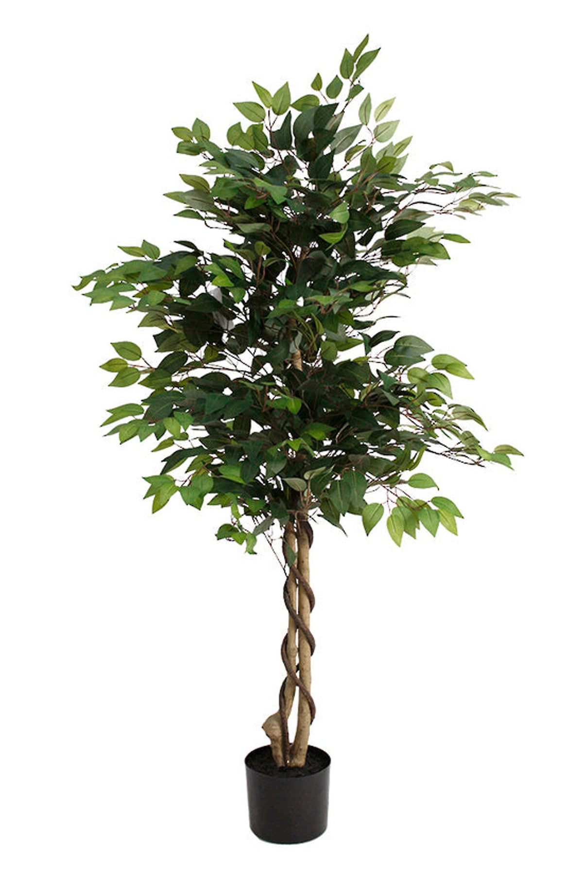 Faux ficus tree, 150cm, with a tiered canopy in a black pot, on white