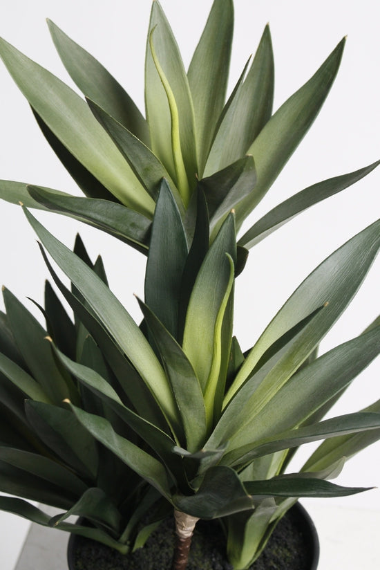 Small Dracaena, 45cm Potted Faux Plant
