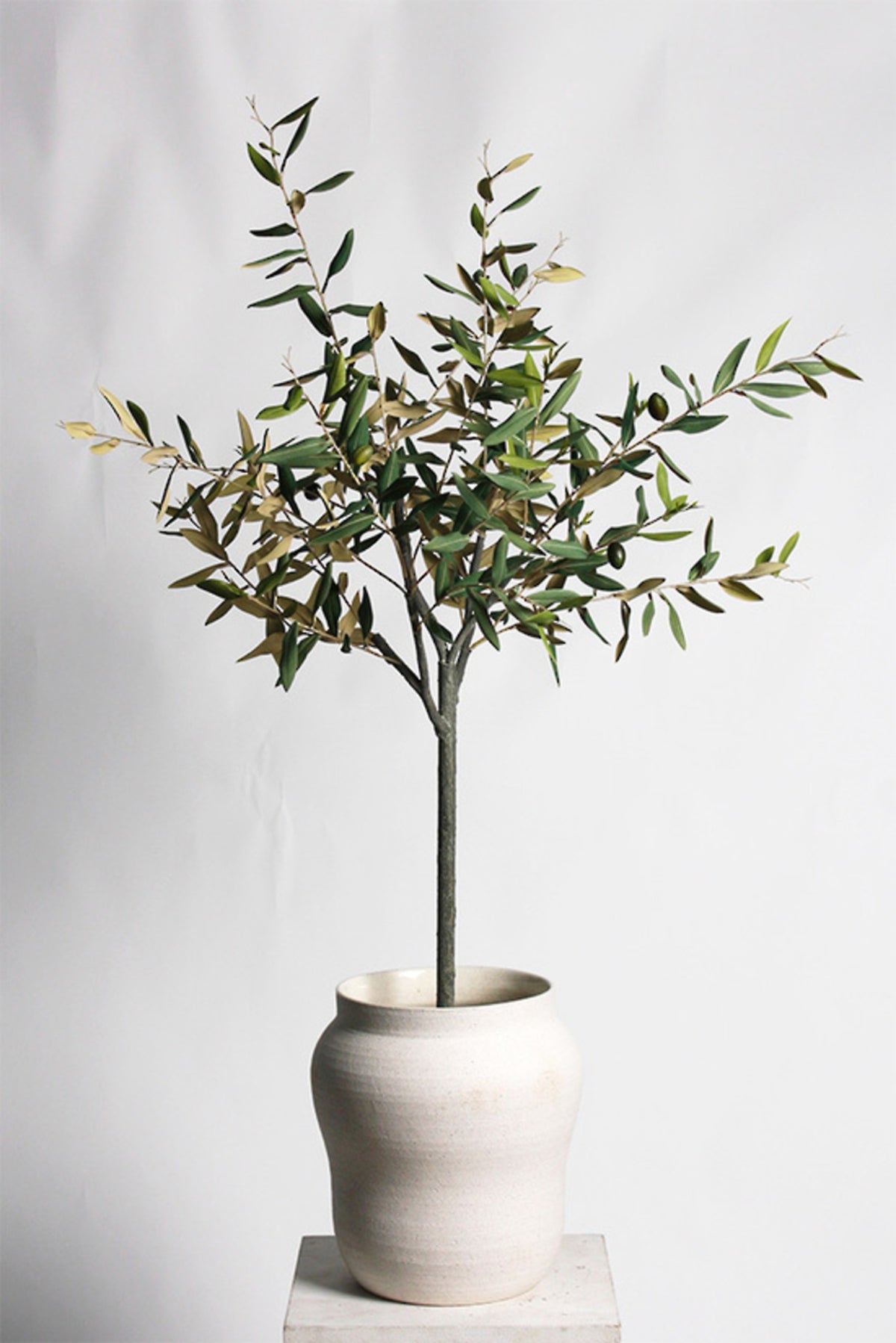 Olive tree in a white clay pot, 1m faux tree, alternate view