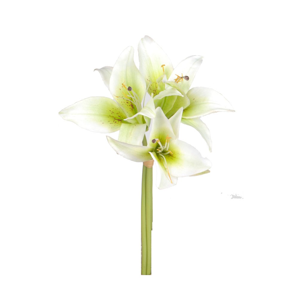 Short lily bundle with cream petals and green throats on a plain white background