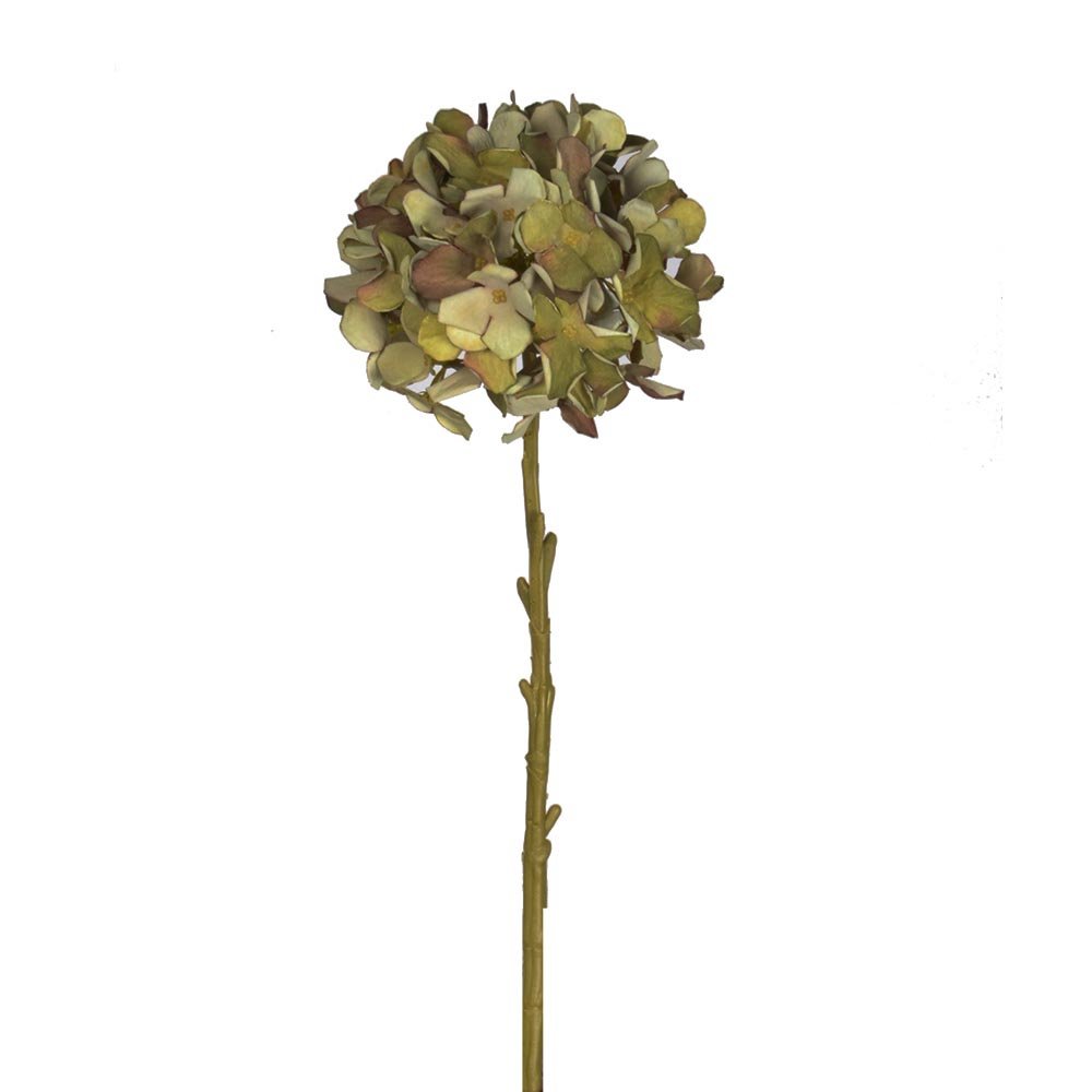 Faux country hydrangea stem in green on a white background