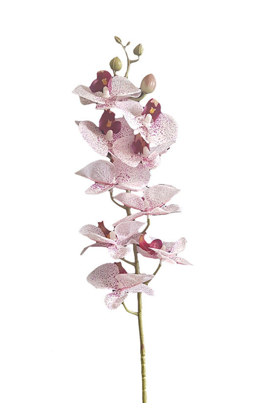 Real Touch Moth Orchid Pink/White Spot