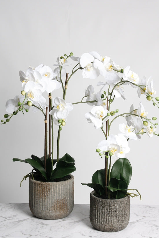 Phalaenopsis Orchid in Rustic Pot, White 61cm / 66cm Faux Plant