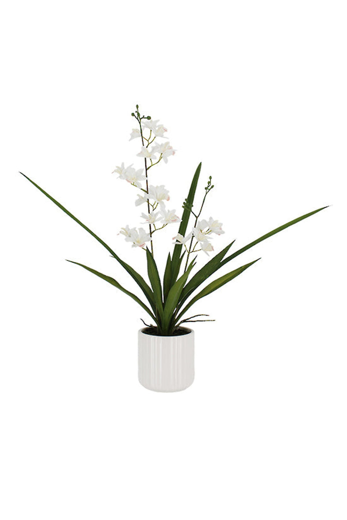 White faux cymbidium orchid in a white ribbed pot, on white