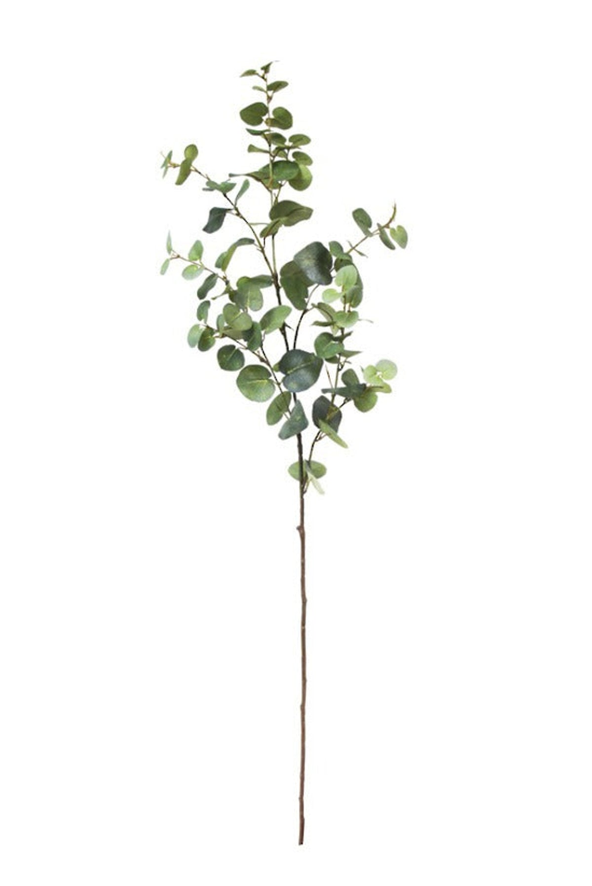 Large faux eucalyptus spray with grey-green leaves on a white background