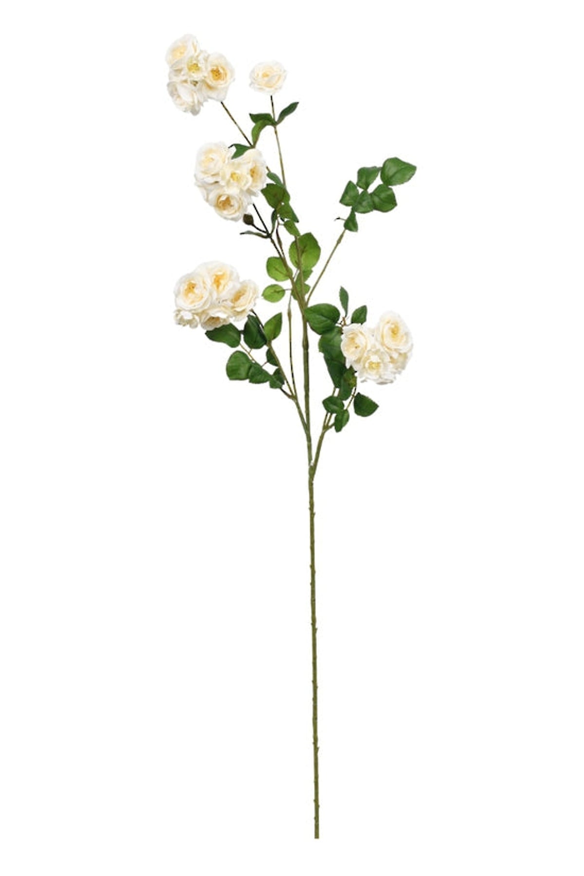 Cream wild rose spray, a faux stem of small clustered roses and green leaves, on white
