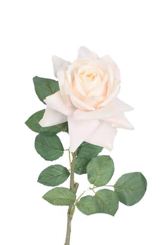 Aida Real Touch Rose, White & Peach 65cm Faux Stem